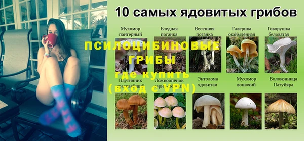 ECSTASY Кукмор